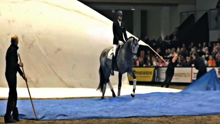 Will Rogers dressage